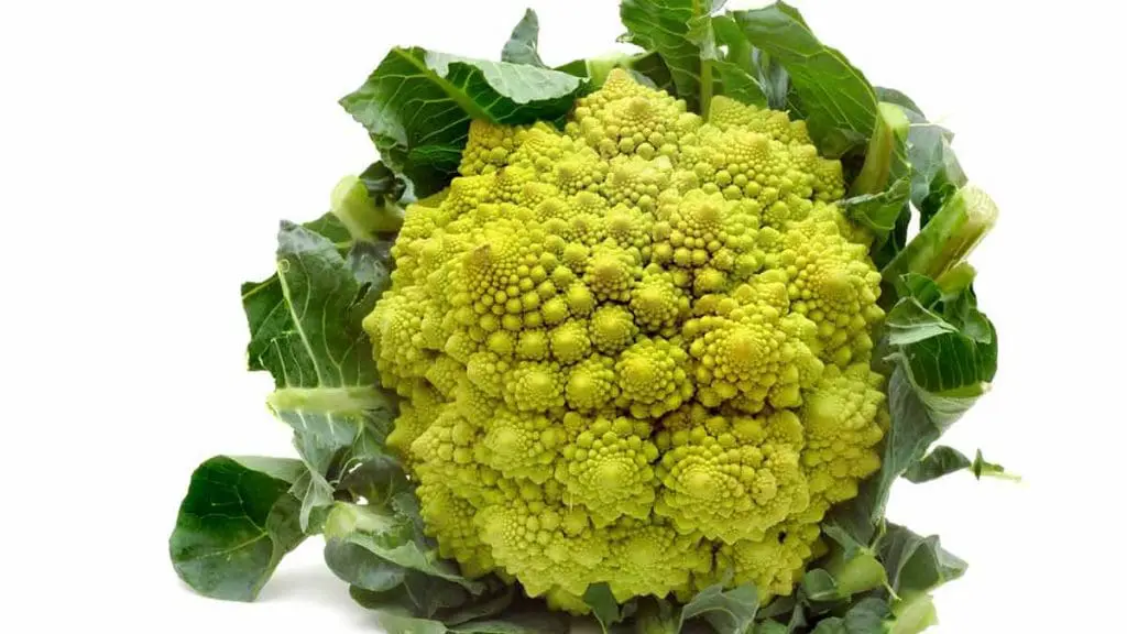 romanesco cauliflower