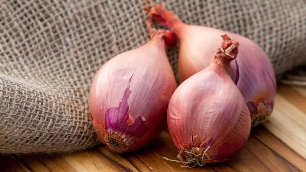 shallots