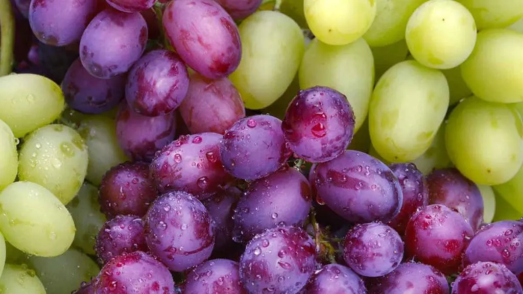 table grapes