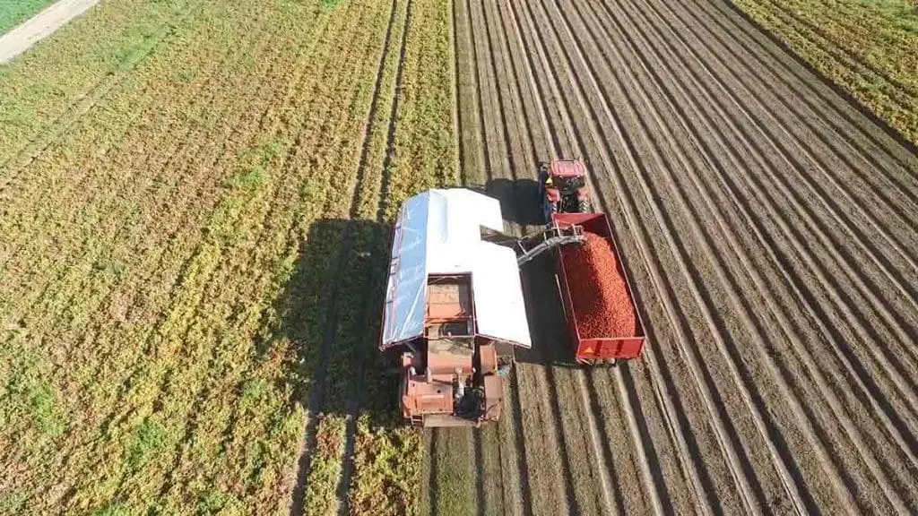 tomato harvester aerial