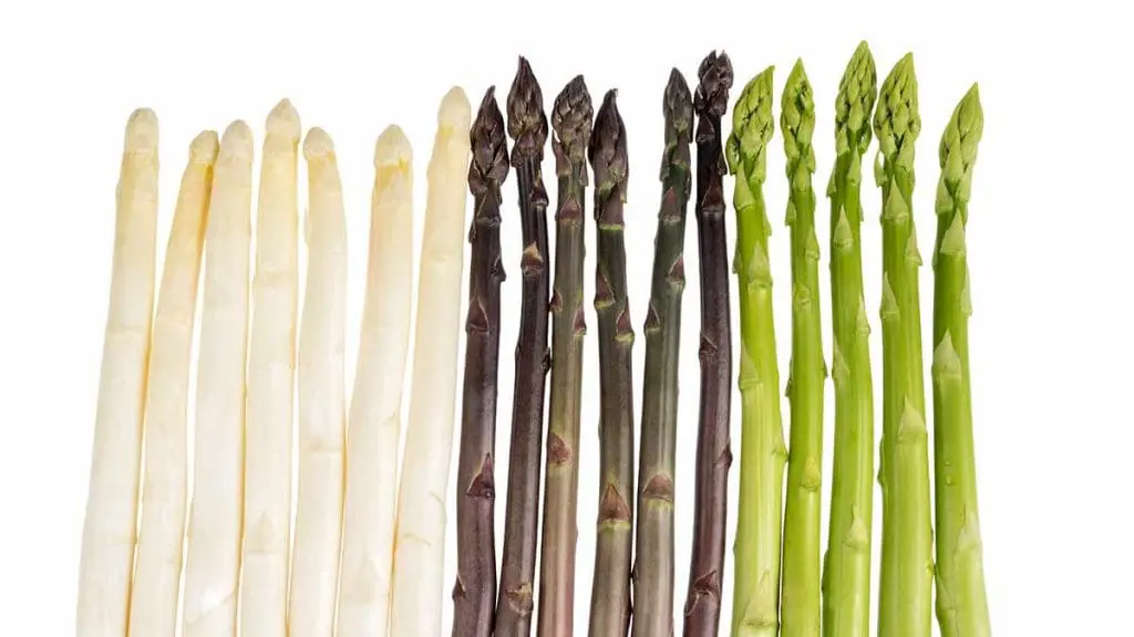 types of asparagus