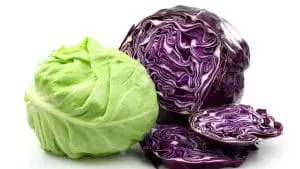 types of cabbage