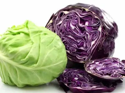 types of cabbage