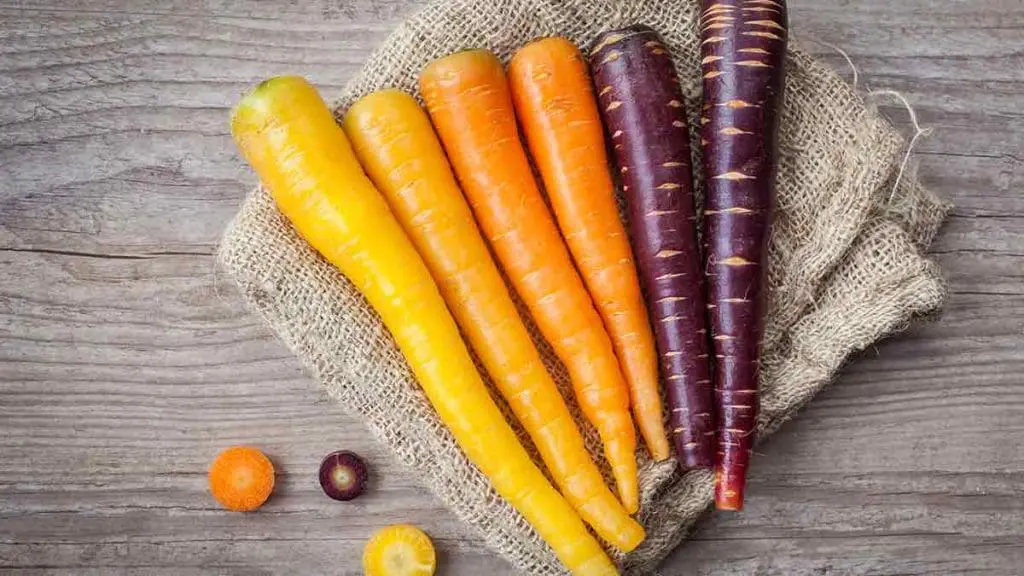 types of carrots