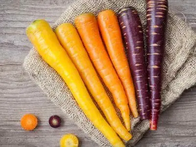 types of carrots