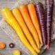 types of carrots