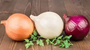 types of onions