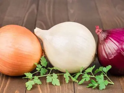 types of onions