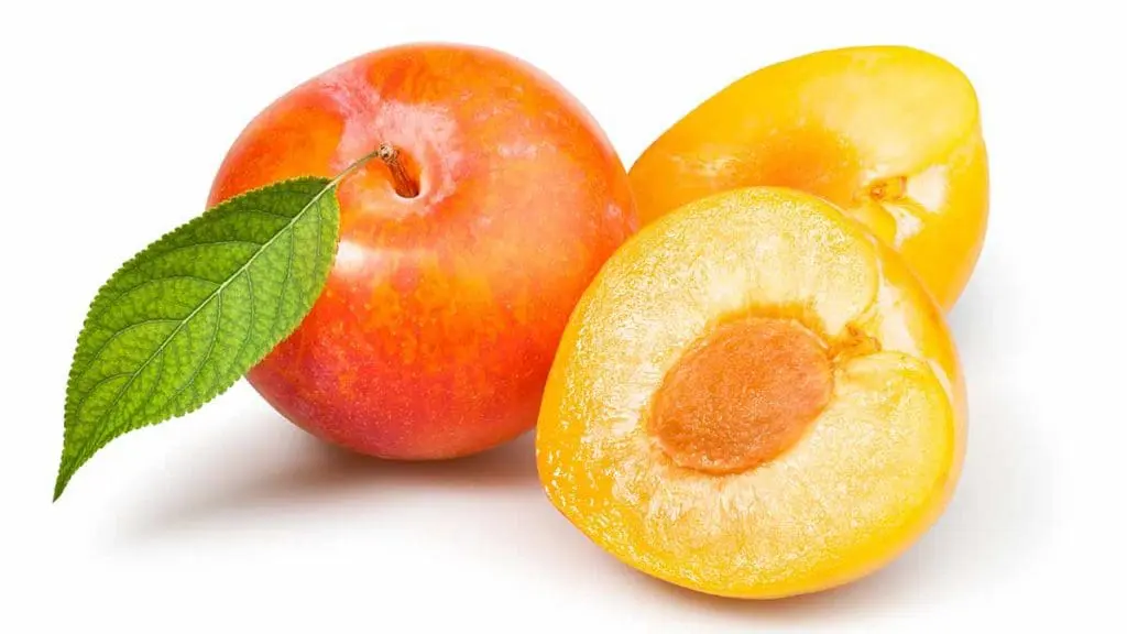 yellow plum