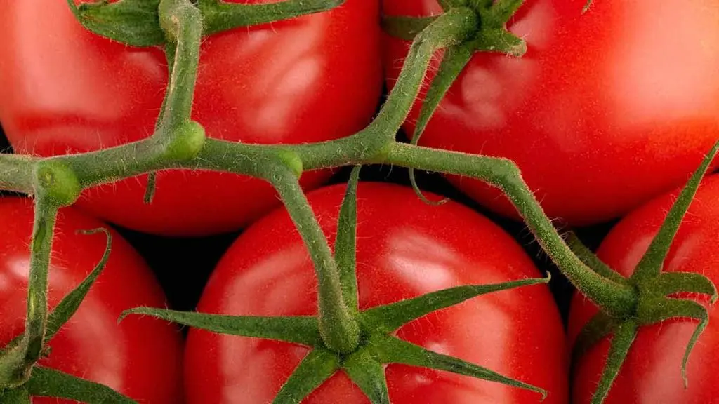 round tomato