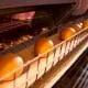 egg conveyor
