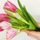tulips in hands