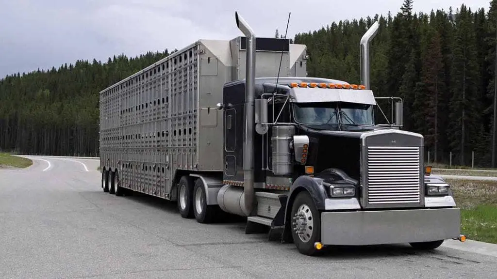 transportation