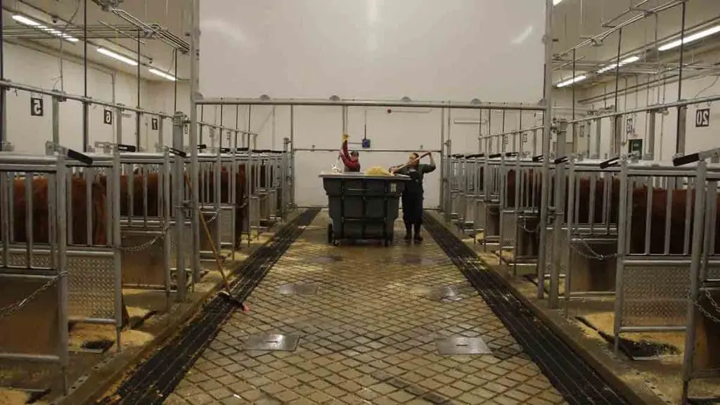 metabolism barn