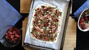 frozen yogurt bark