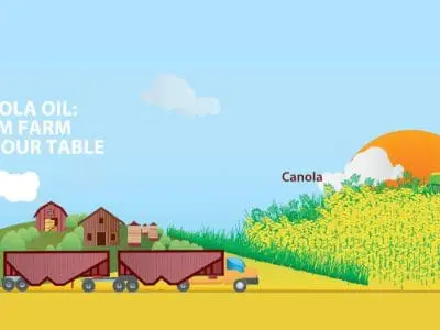 canola from farm to table