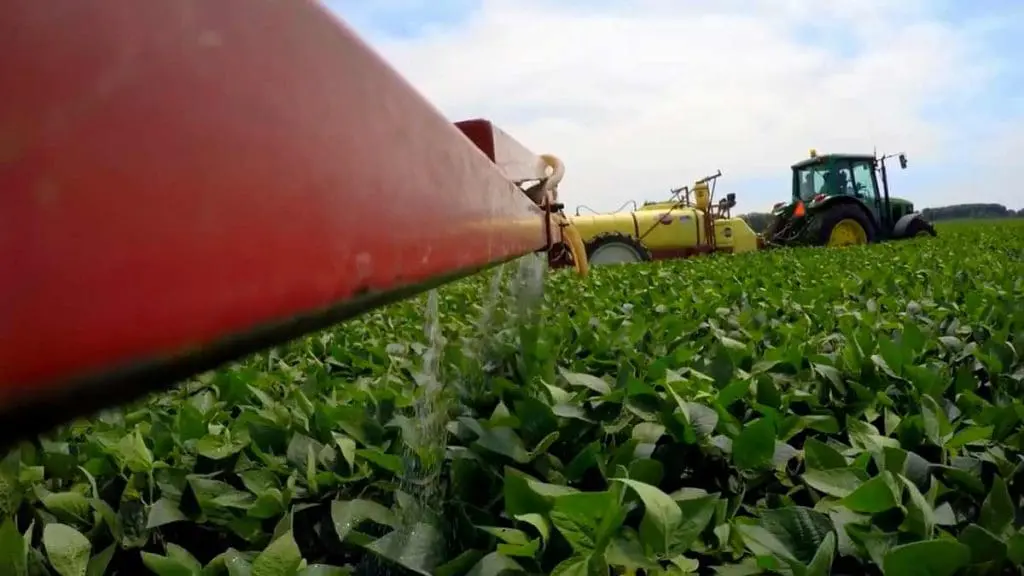 fungicide application