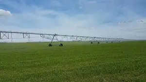 irrigation centre pivot