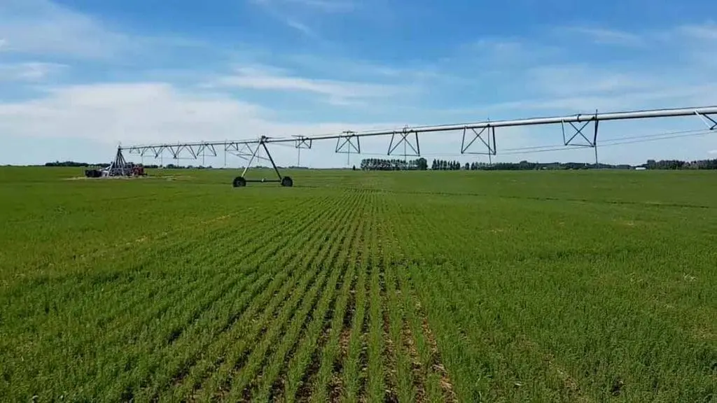 centre pivot