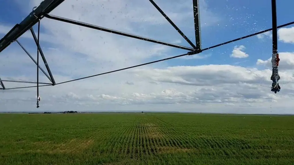 irrigation dropped tubes