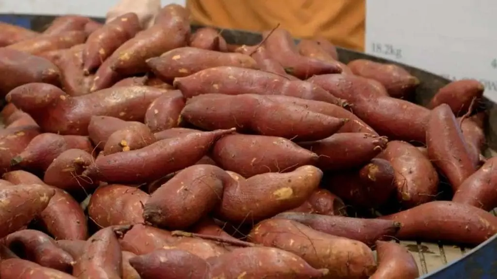 sweet potatoes
