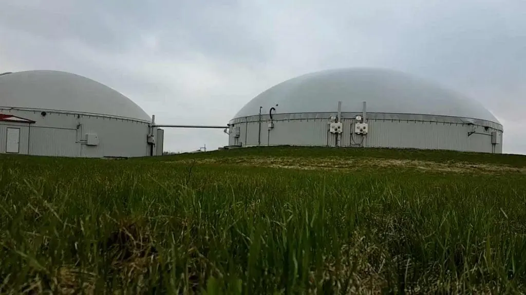 water buffalo methane digester