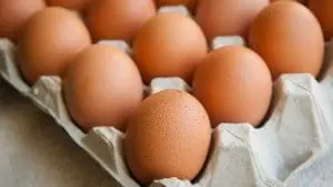 brown eggs