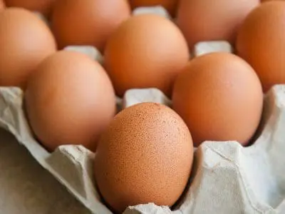 brown eggs