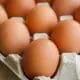 brown eggs