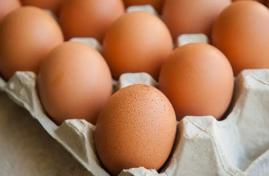 brown eggs