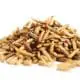 meal worms