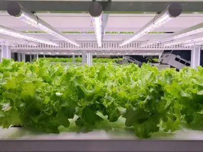 vertical farm