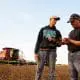farmer and son growing lentils