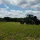 spraying herbicide