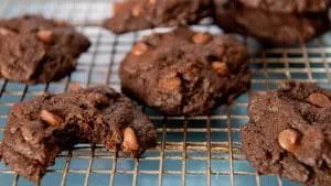 chocolate-chocolate-chip-cookies