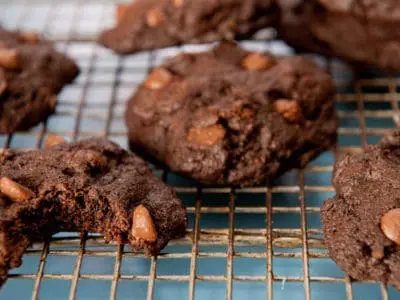 chocolate-chocolate-chip-cookies