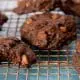 chocolate-chocolate-chip-cookies