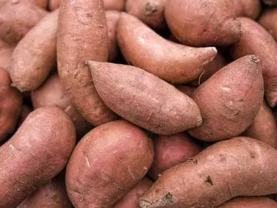 sweet potato grocery