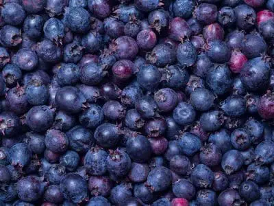 saskatoon berries