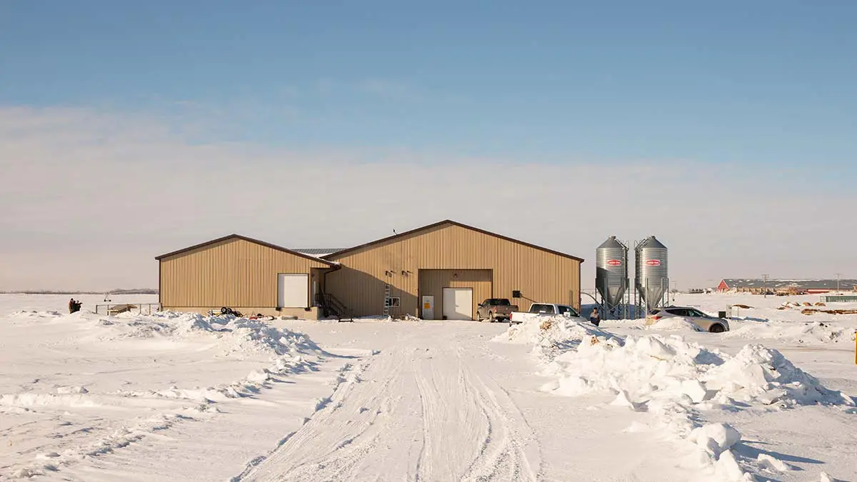 broiler chicken barn