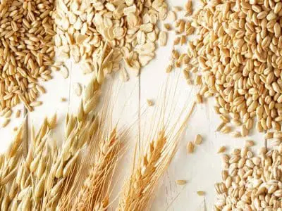 intact-grains