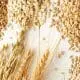 intact-grains
