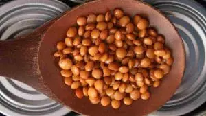 canned_lentils