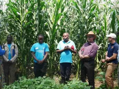 foodgrains bank