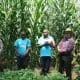 foodgrains bank