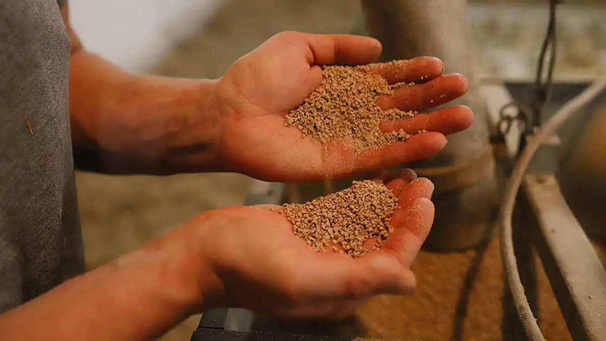 hands holding feed
