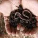 worm and soil in hands
