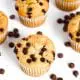 chocolate chip muffin