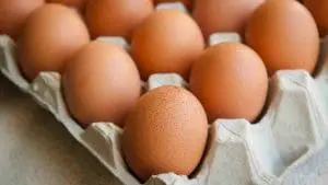 brown-egg-in-carton
