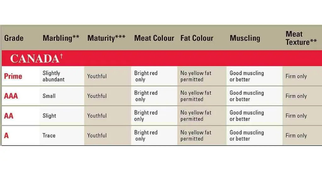 grades of Beef